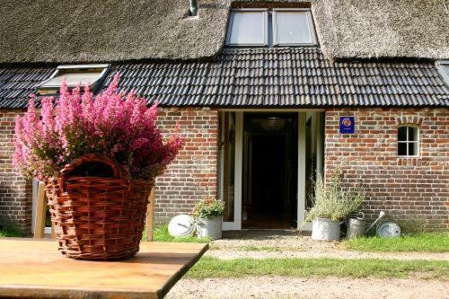 Bed And Breakfast Annen Extérieur photo